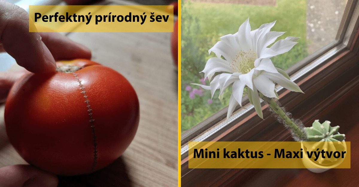 15 darčekov od Matky prírody, na ktorých si pekne uletíte