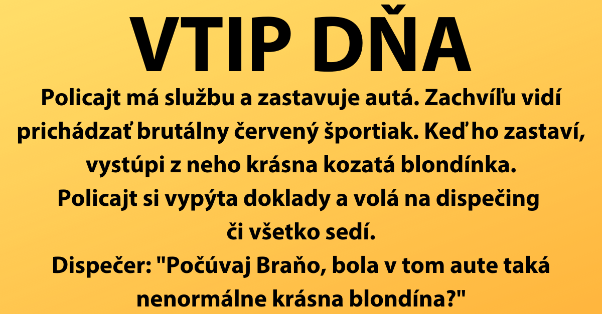 VTIP DŇA: Policajt, hriešna blondínka