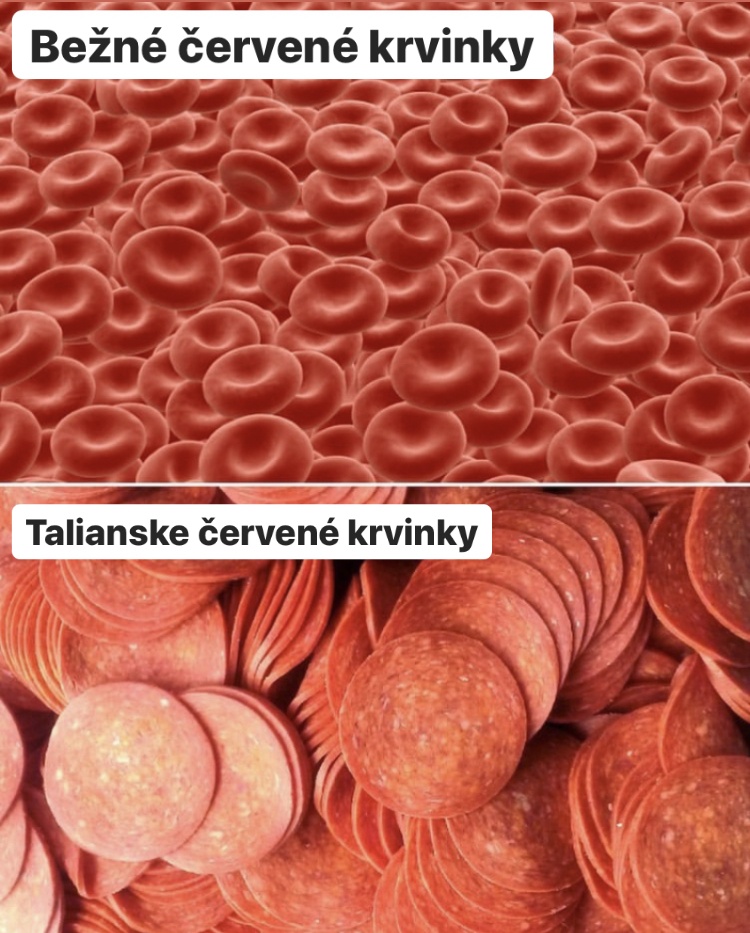 Majú to už v krvi