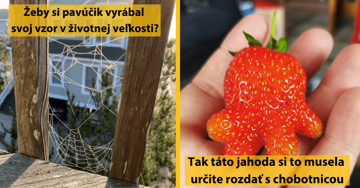 12 obyčajno-neobyčajných vecí, ktoré ti ukážu, že život niekedy naozaj nestojí za h*vno