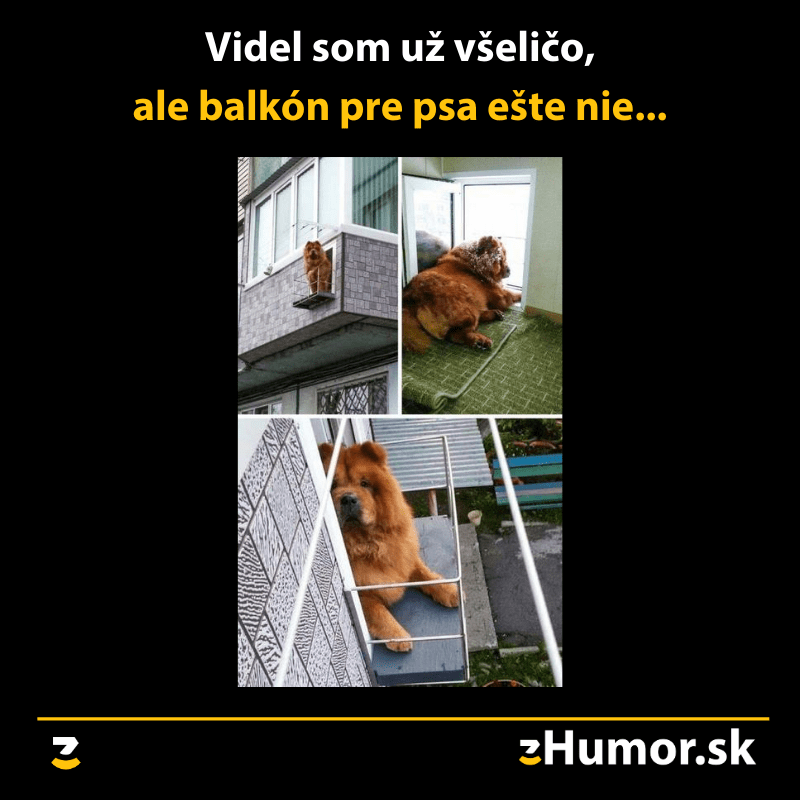 Balkón pre psa