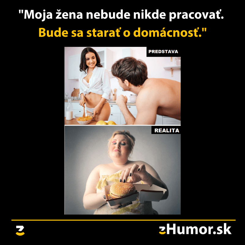 Žena v domácnosti