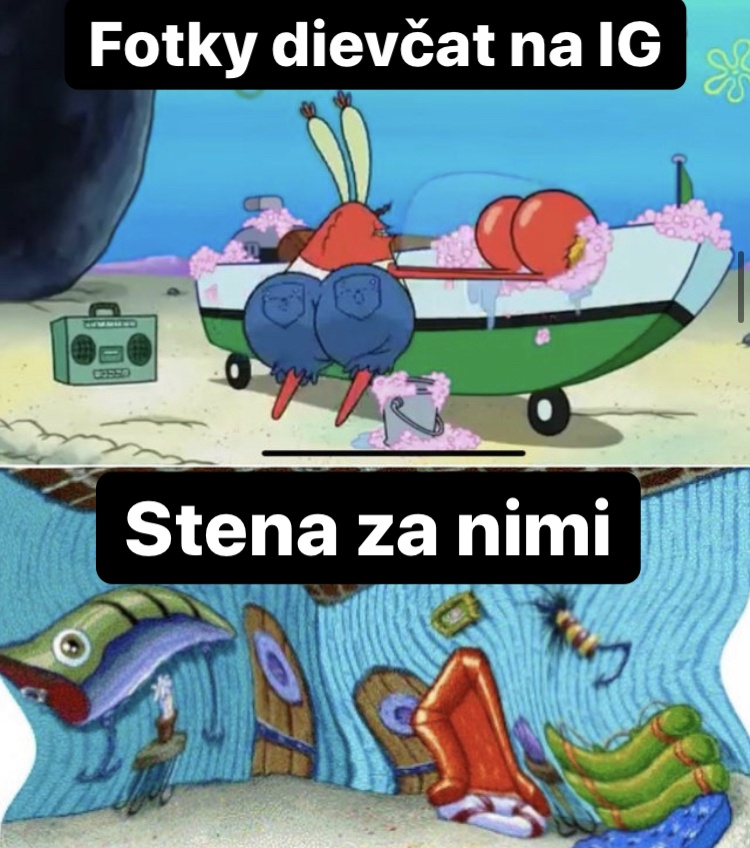 Čajočky si nedávajú pozor