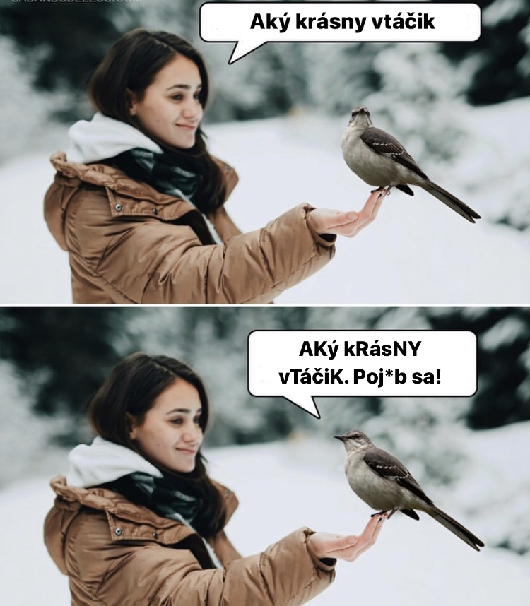 Blablabla