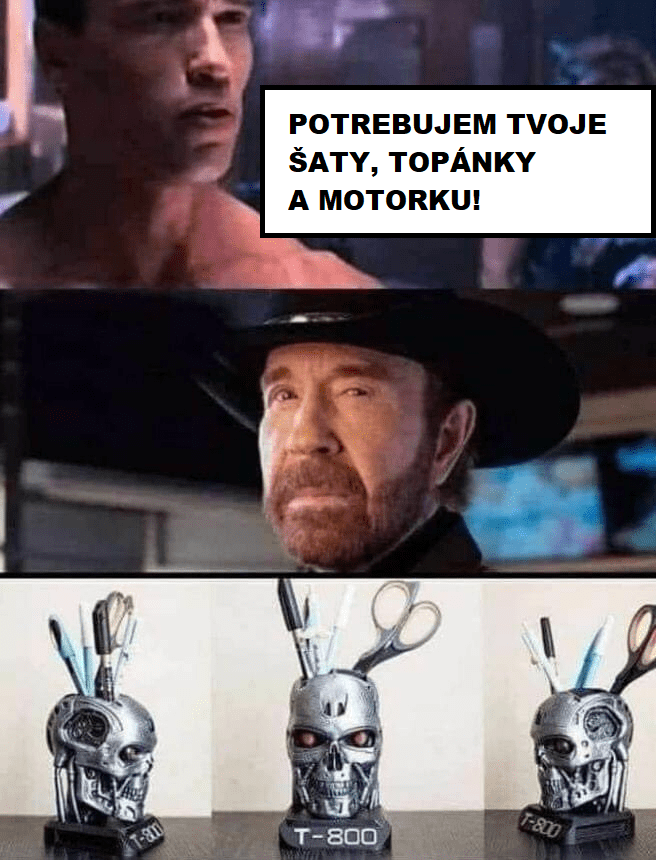 Terminátor vs. Chuck Norris