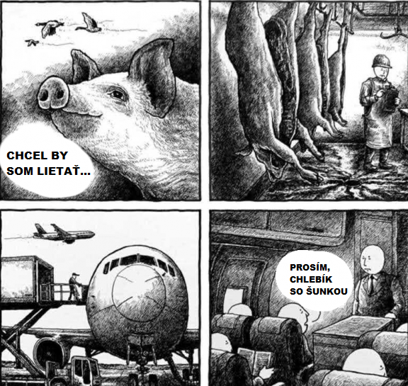 I believe I can fly