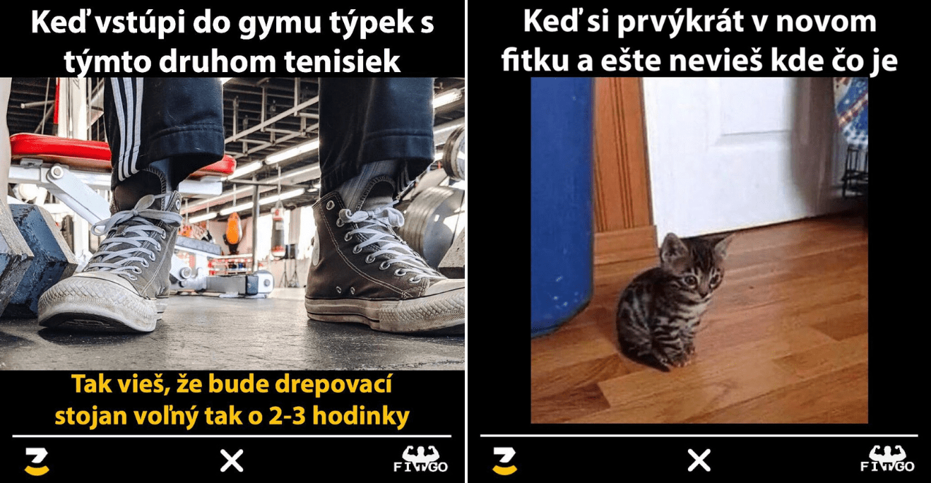 Memečka z  Fitka: Miluješ cvičenie a zdravý životný štýl? Týchto 40+ memes vzniklo špeciálne pre teba!