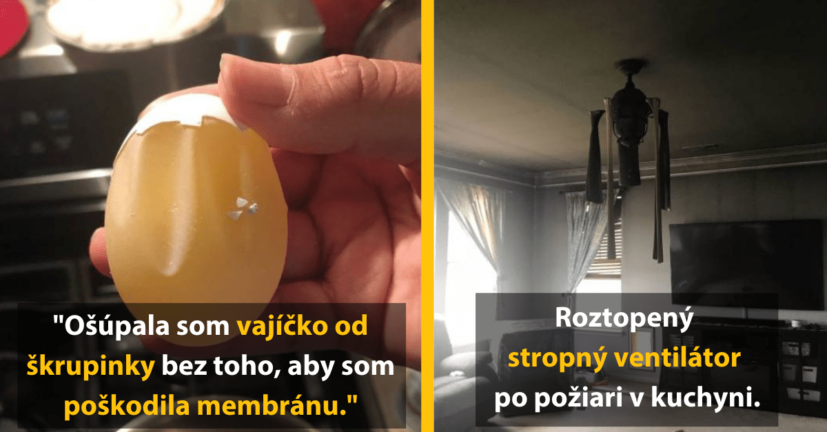 12 perfektných fotiek, ktoré ti pošteklia mozog