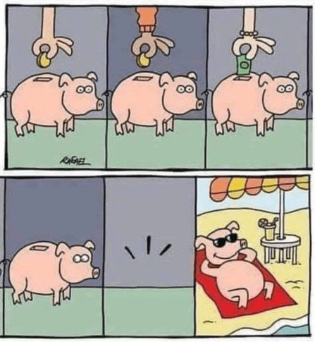 Nikdy si nešpor do prasiatka
