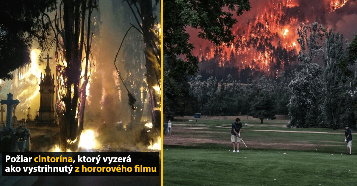 15 najdivnejších obrázkov, pri ktorých sa ti až pozastaví rozum