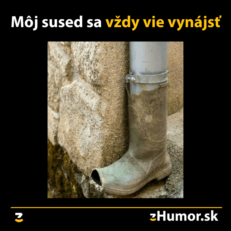 Vynaliezavý sused