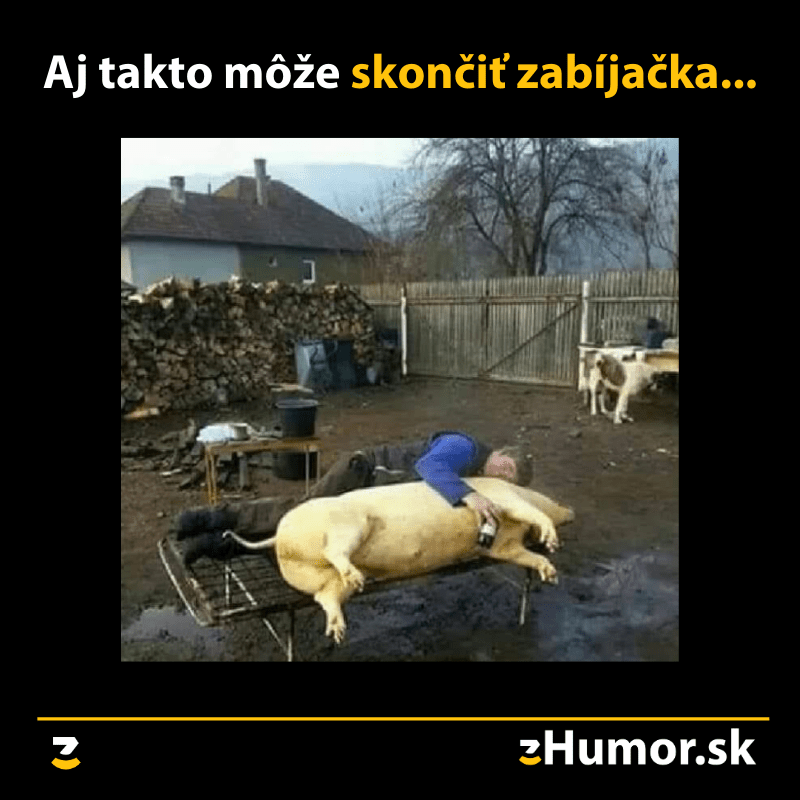 Zabíjačka