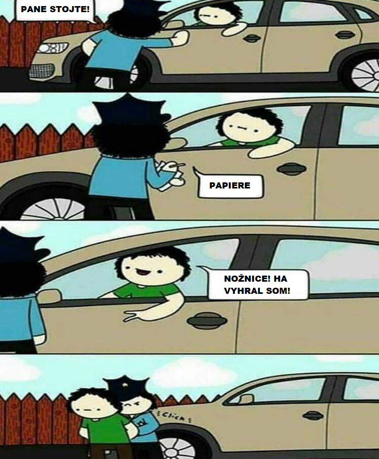 Policajná kontrola