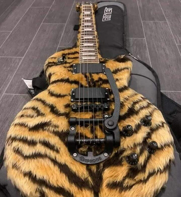 Gitara so srsťou