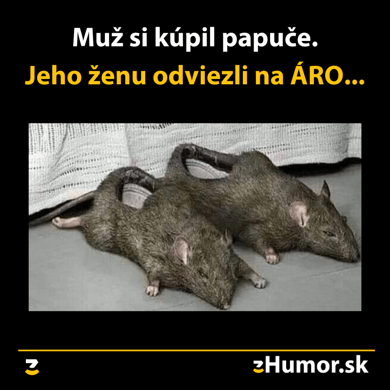 Papučky