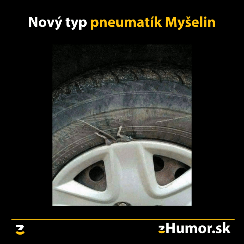 Myšelin