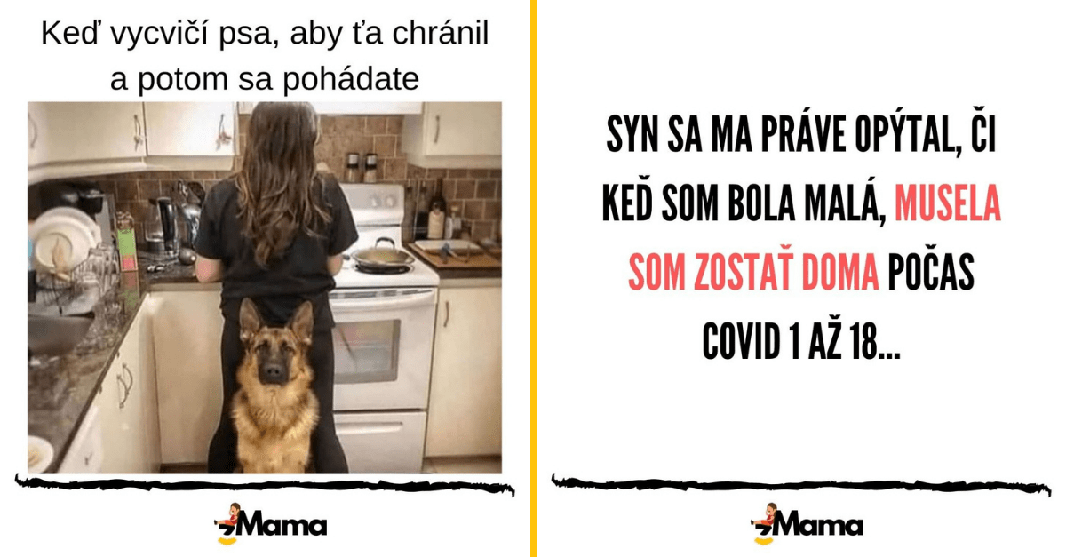 Trochu humoru (nie)len pre mamičky #29: Aj takto to môže dopadnúť, keď manžel vycvičí psa, aby vás ochraňoval