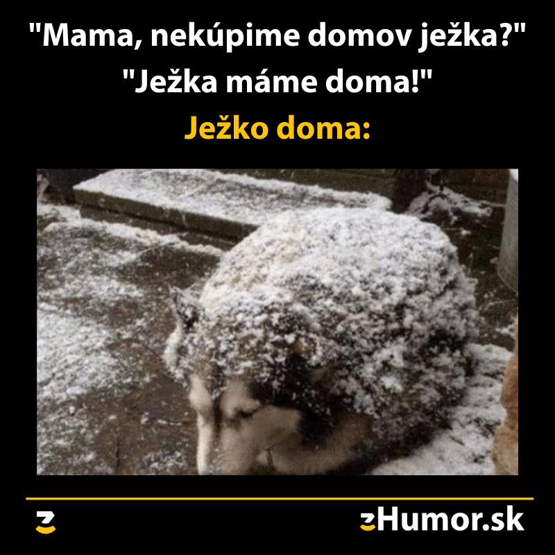 Ježko