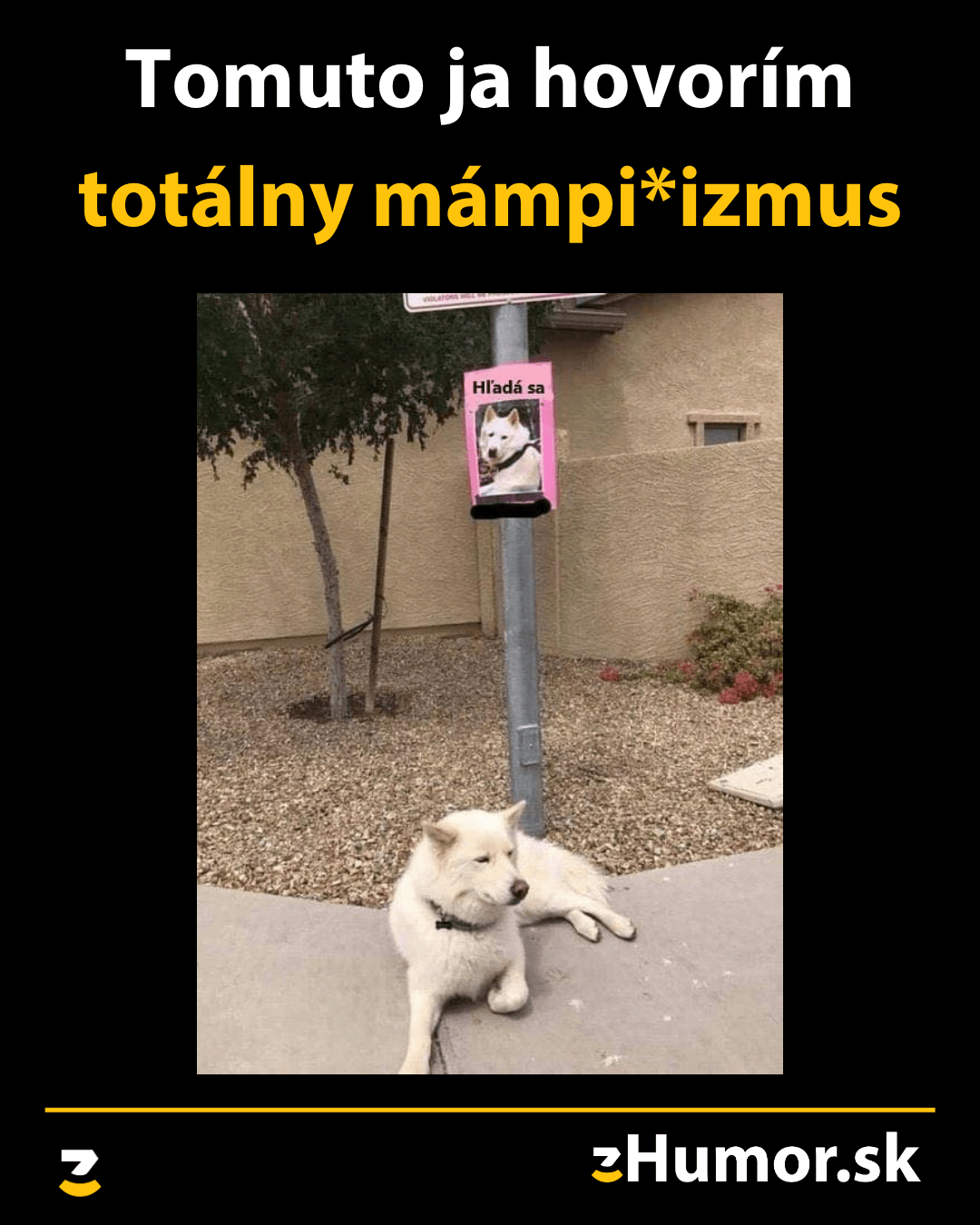 Flegmatik level9000
