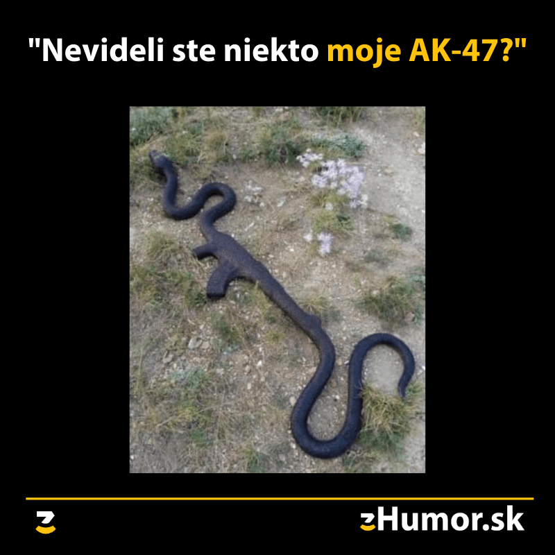 Pátranie
