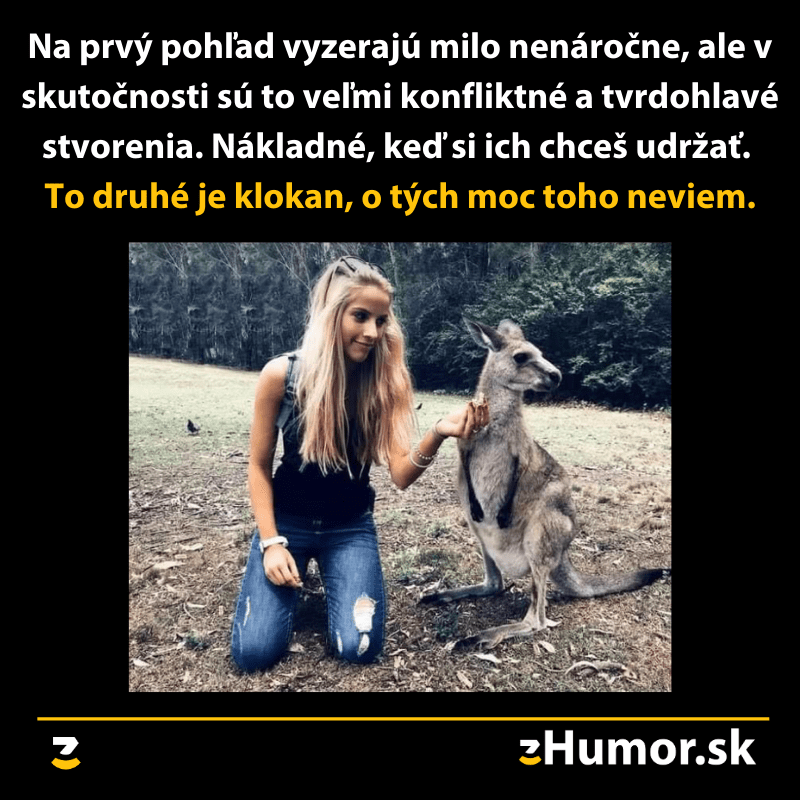Divné stvorenia