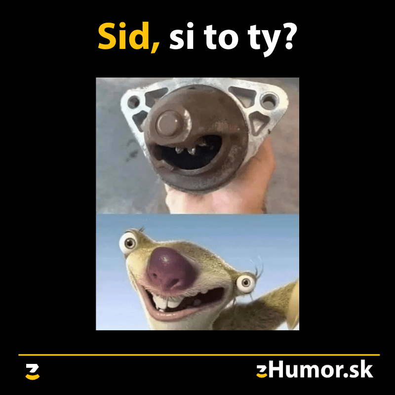 Neuveriteľná podoba