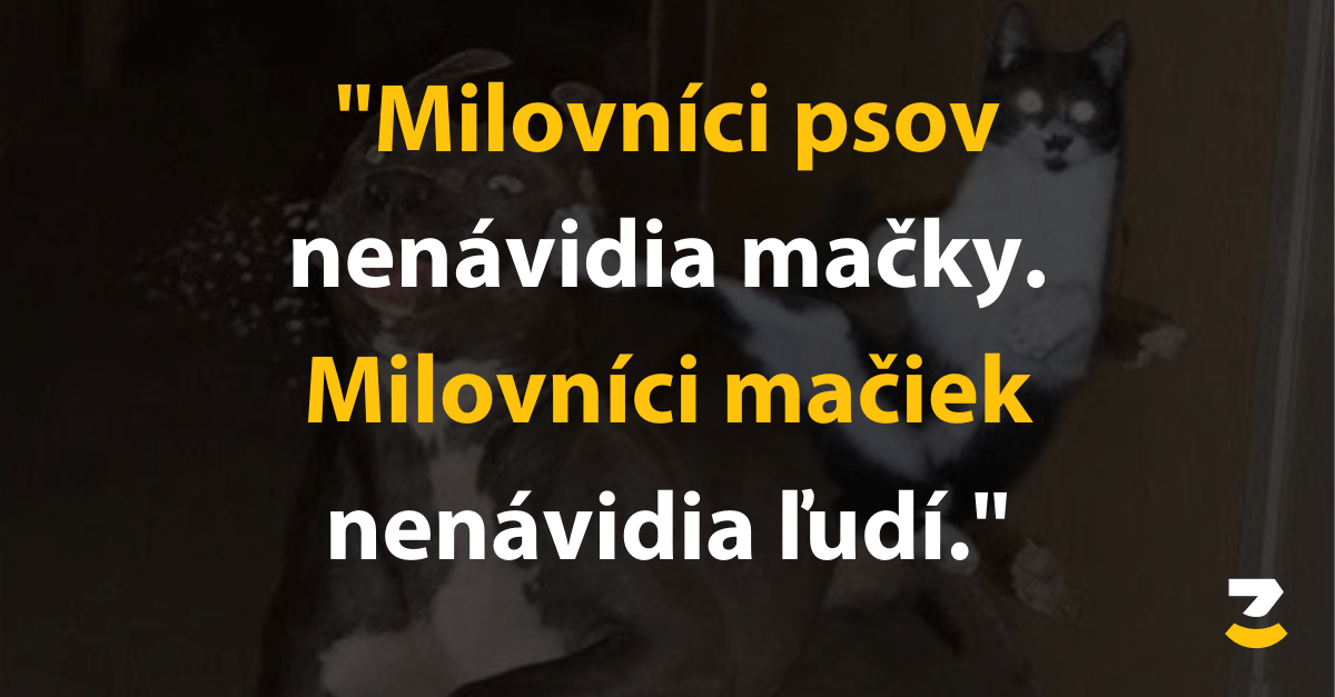 7 mačko-psíčkarských tweetov, ktoré potvrdzujú rivalitu medzi týmito dvomi skupinami