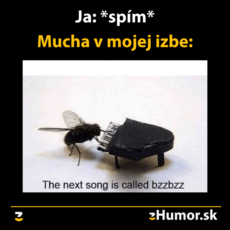 Mucha v izbe