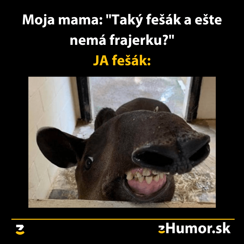 Slobodný fešák