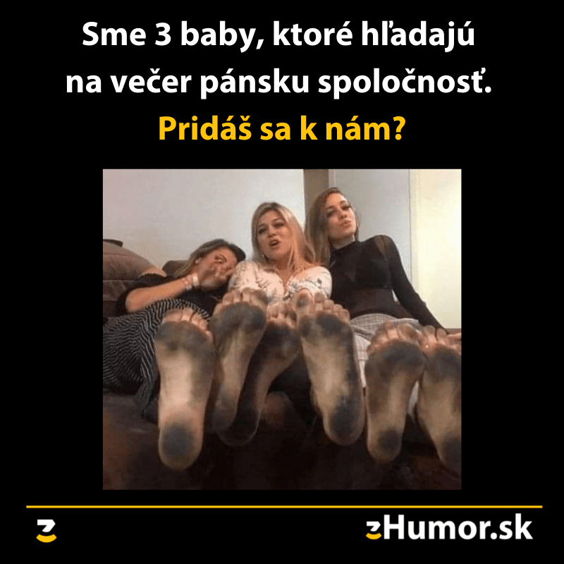 Hľadáme spoločnosť