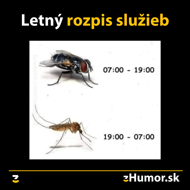 Letný rozpis služieb