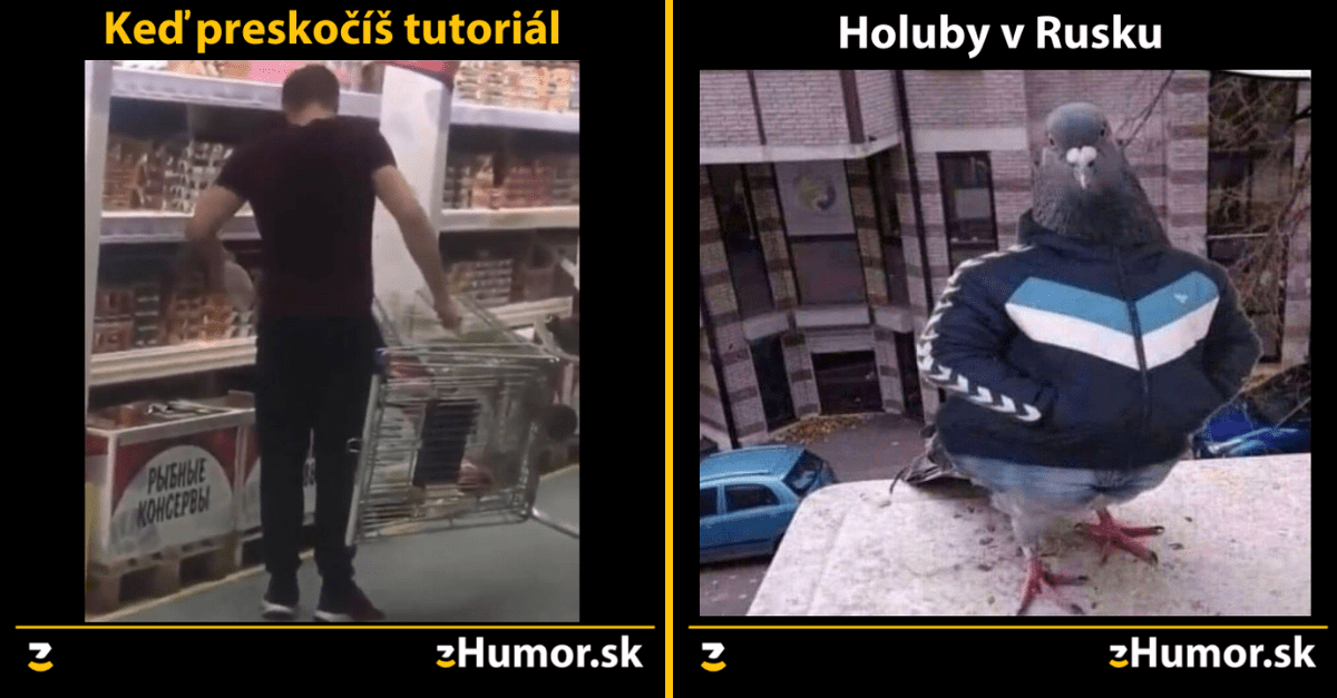Zopár memečiek, ktoré vznikli, aby ti spríjemnili deň #1080 : Holuby v Rusku