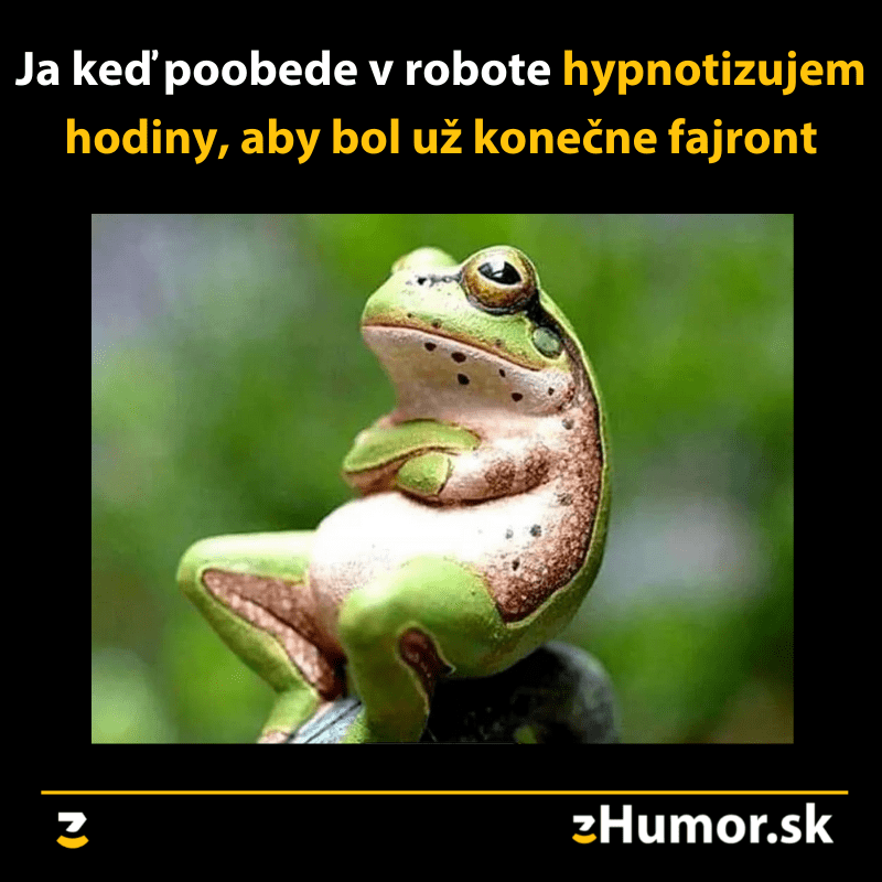Hypnotizácia