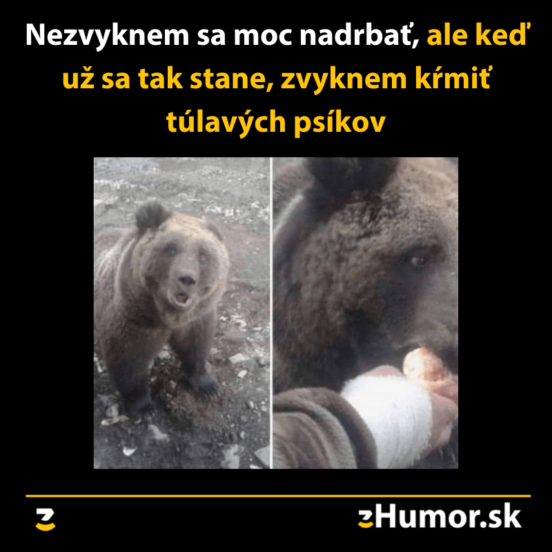Kŕmenie psov