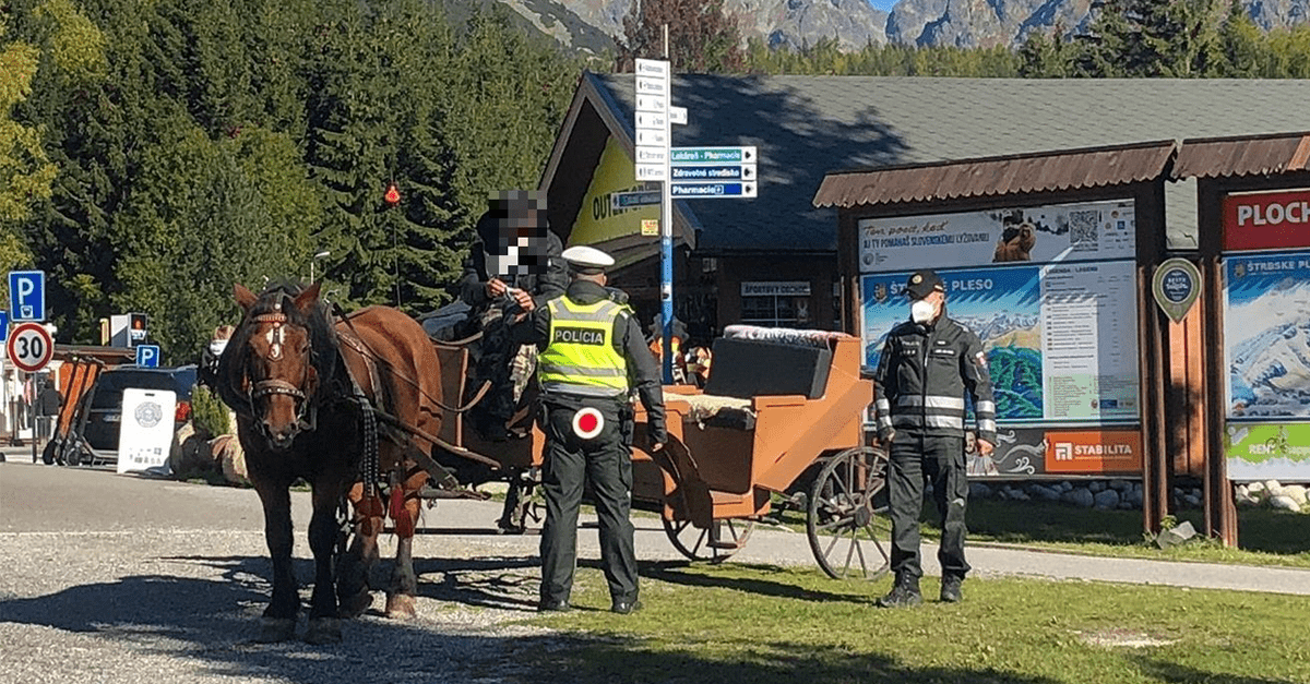 Pod Tatrami sa preháňal na mol opitý kočiš. Nafúkal viac ako 3 promile