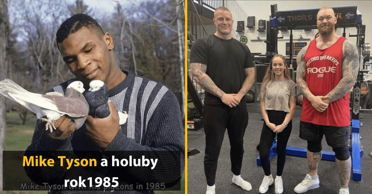 30+ Obrázkov, ktorými dokonale zabiješ čas #507 – Adam Sandler na prechádzke a Mike Tyson so svojimi miláčikmi
