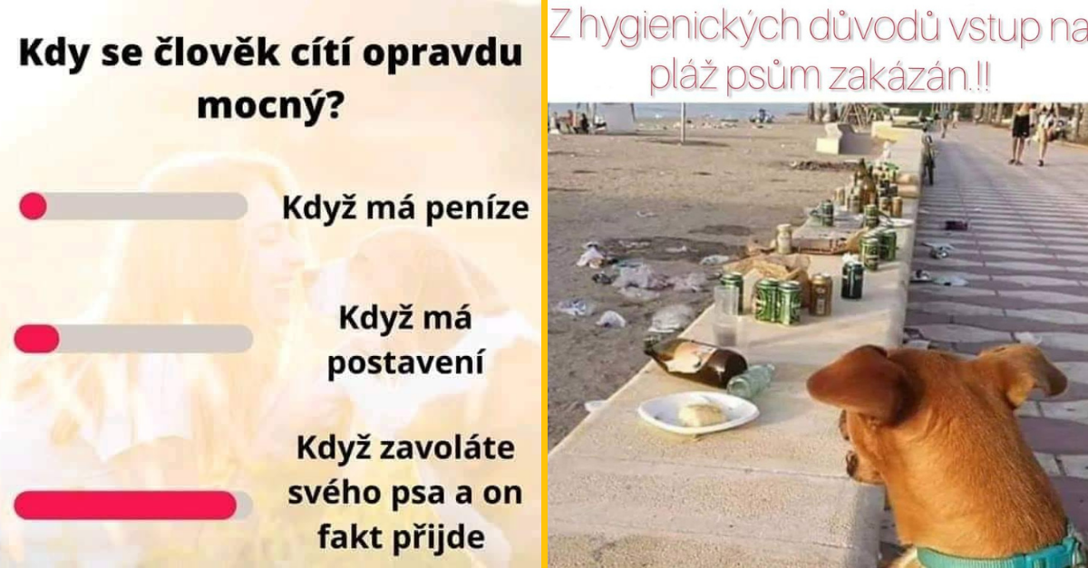 20+ Obrázkov: Všetko vtipné z internetu! #459 – Rozhovor pred spaním a jednoduchá matematická úloha