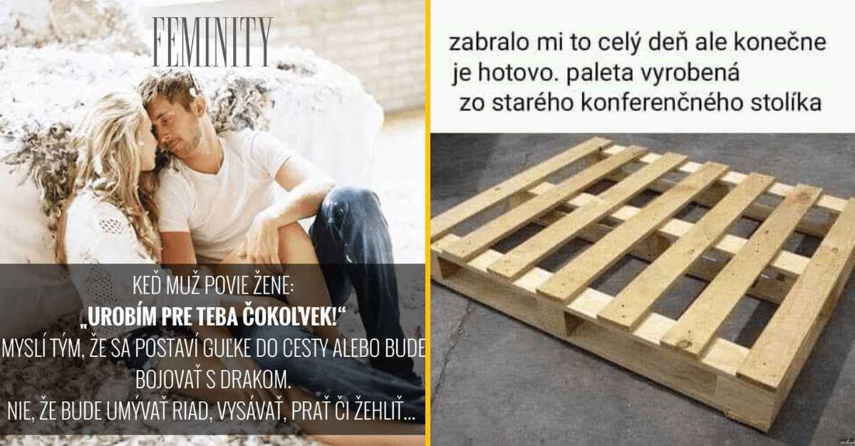 20+ Obrázkov: Všetko vtipné z internetu! #448 – Život korytnačky v skratke a prečo ma oco plešinku
