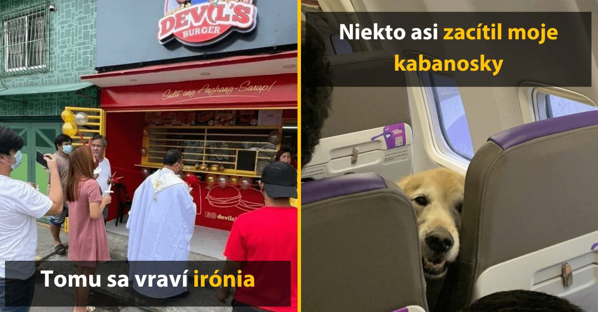 30+ Obrázkov, ktorými dokonale zabiješ čas #410 – Pes s kamuflážou a nezvyčajný automat