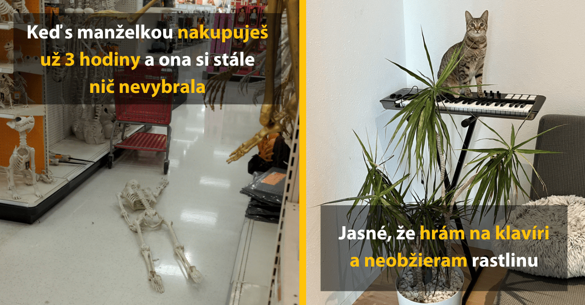 14 vtipných momentov, ktoré vás rozosmejú