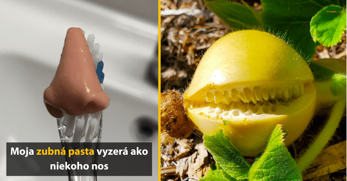 14 nezvyčajných obrázkov, ktoré pomýlia tvoj mozog