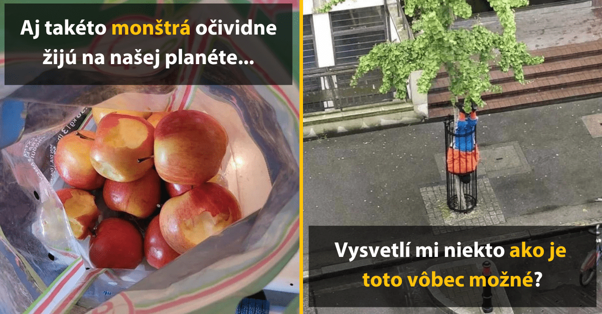 30+ Obrázkov, ktorými dokonale zabiješ čas #457