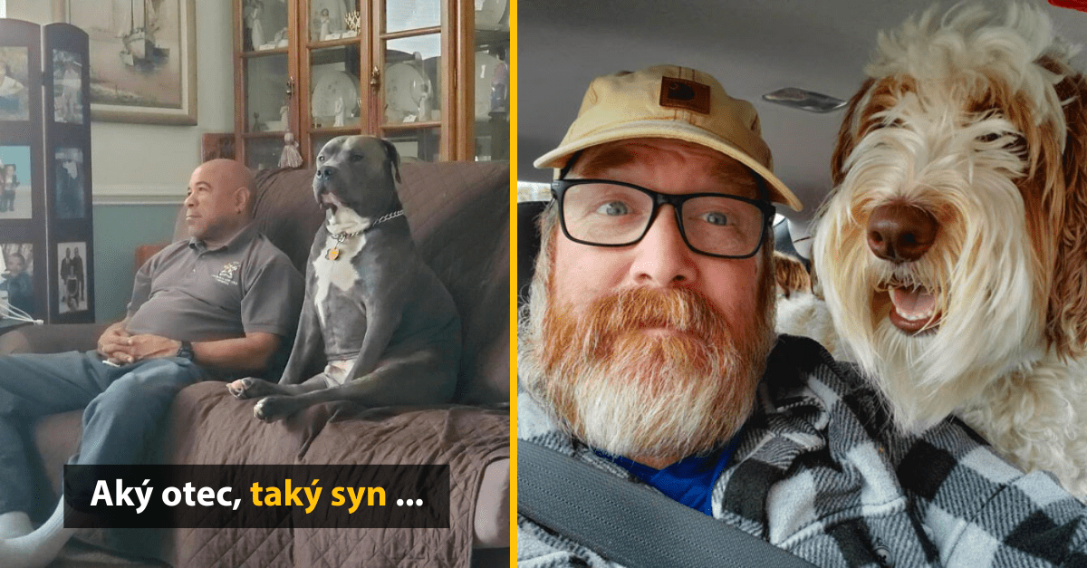 14 obrázkov, ktoré zábavne vystihujú, ako neuveriteľne podobné sú domáce zvieratká a ich majitelia