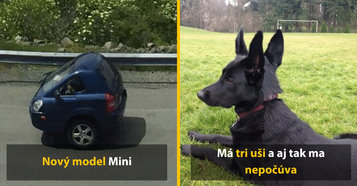Snažili sa spraviť panoramatickú fotku a dopadlo to ešte lepšie, ako čakali