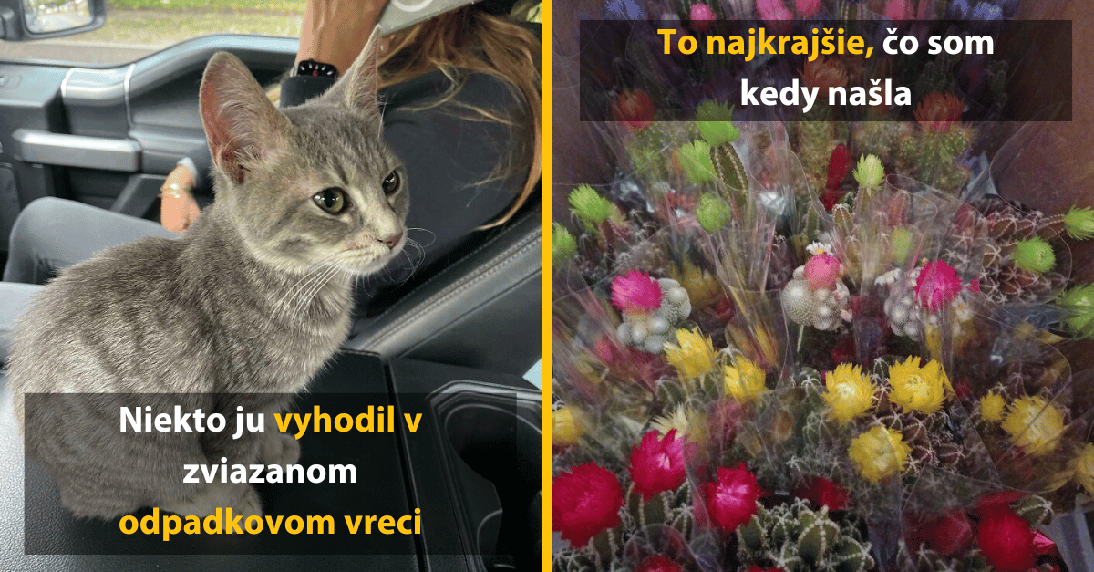 Neuveriteľné úlovky nájdené len tak na smetisku