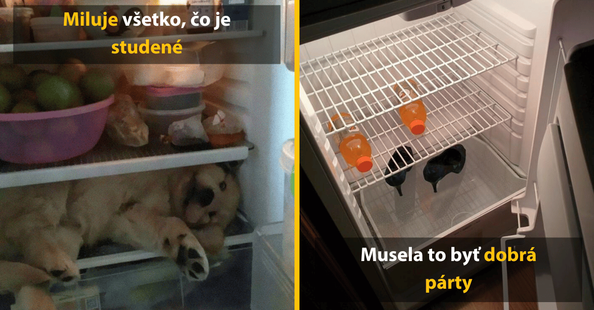 Čo najbizarnejšie sa našlo u druhých v chladničkách?