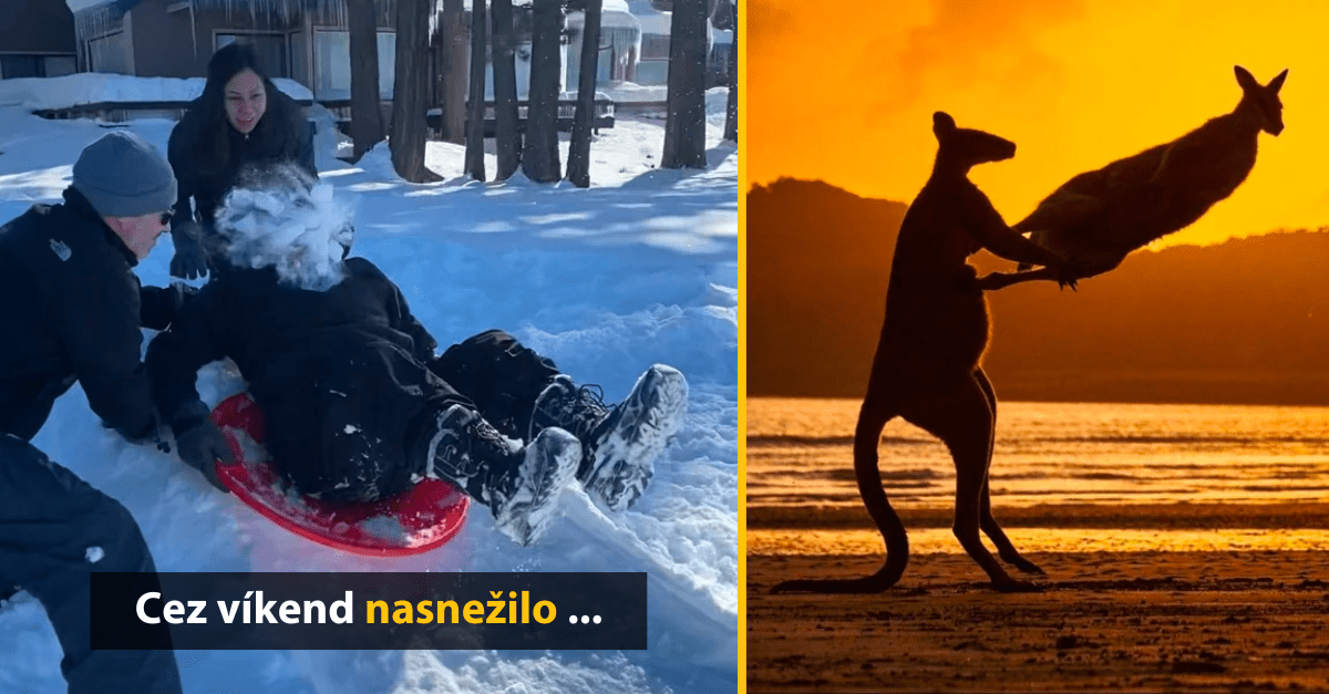 13 zábavných fotiek, ktoré vznikli vďaka dokonalému načasovaniu