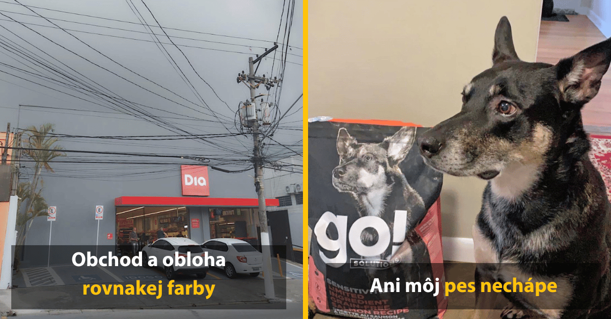 10 dôkazov, že náhody možno predsa len existujú