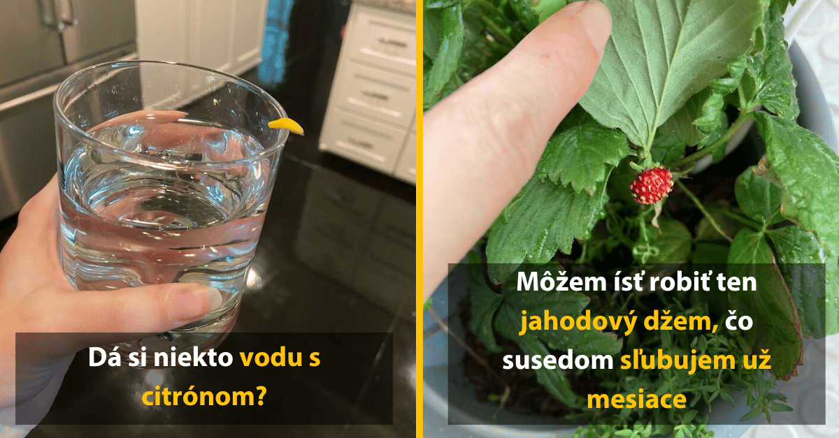 Záhradkárske pokusy, ktoré skončili totálnym fiaskom