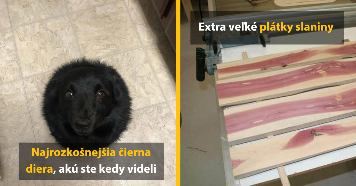 15 mätúcich fotografií, ktoré vás kvalitne potrápia (1. časť)